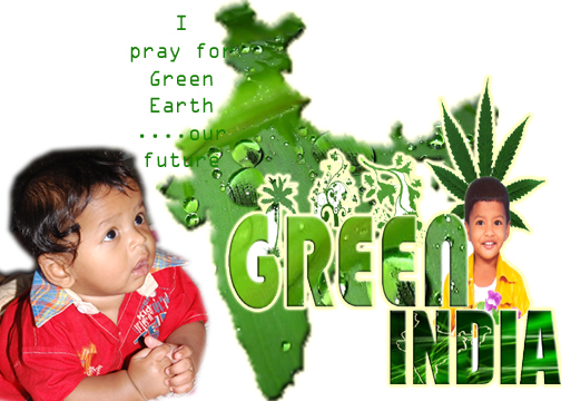 Green movement in india   wikipedia